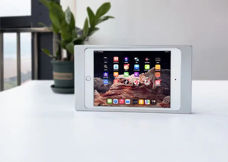 Apple Ipad 2